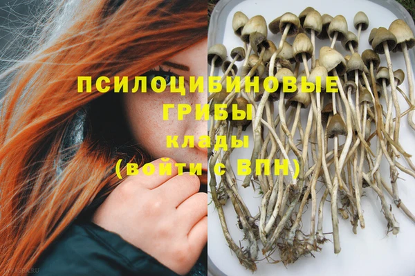 2c-b Кукмор