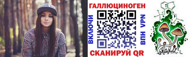Псилоцибиновые грибы Psilocybe Котовск