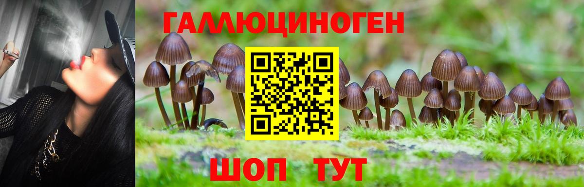 Галлюциногенные грибы прущие грибы  Вход с VPN  Псилоцибиновые грибы Cubensis  Котовск 